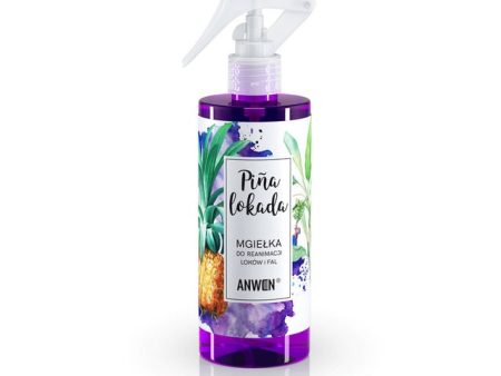 Pina Lokada mgiełka do reanimacji loków i fal 300ml on Sale