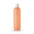 The Garden of Colour Cleaner płyn do odtłuszczania płytki paznokcia Melon Orange 1000ml Online