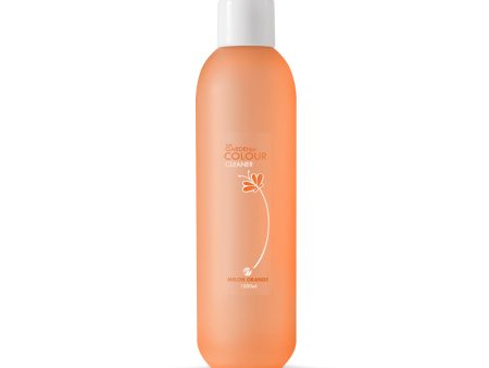 The Garden of Colour Cleaner płyn do odtłuszczania płytki paznokcia Melon Orange 1000ml Online